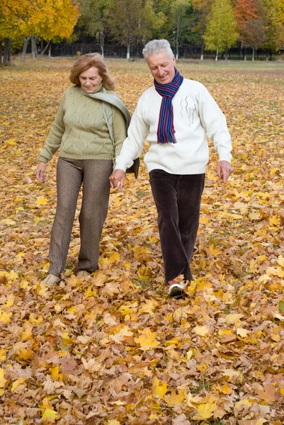 Aged couple at autumn forest — Stock Photo, Image