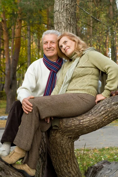 Happy old couple at forest — Stock Photo, Image