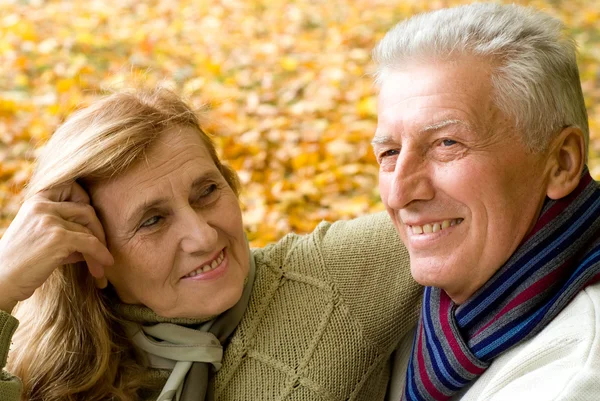Aged couple in park — Stock Photo, Image