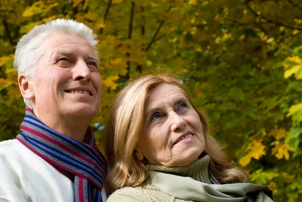 Positive Personality Traits Linked To Lower Dementia Risk, Study Finds
