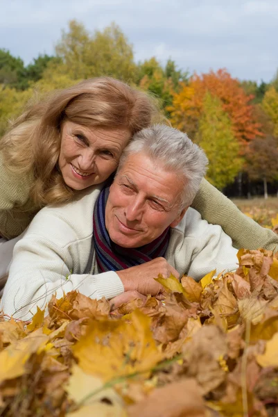葉の上の高齢者のカップル — ストック写真