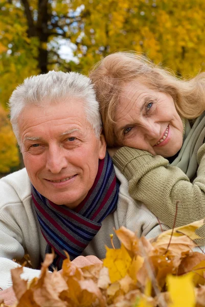 Old couple on leaves — Stock Photo, Image