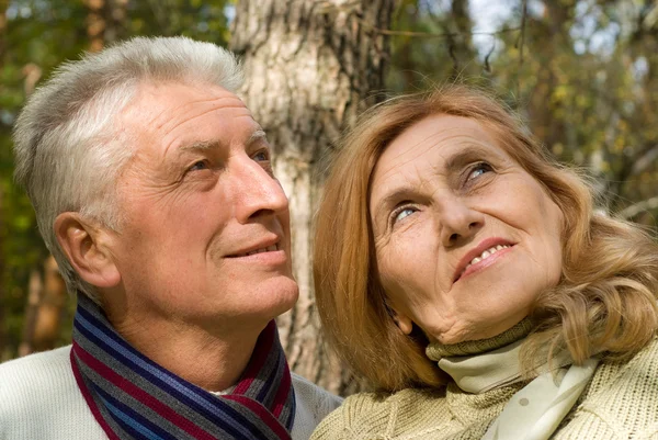 Heureux vieux couple à la forêt — Photo