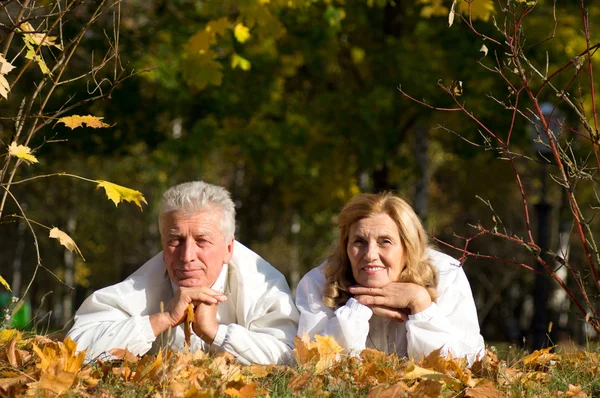 Старая пара лежит на листьях — стоковое фото