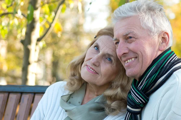 Schattig bejaarde echtpaar op aard — Stockfoto