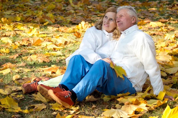 Старая пара сидит на листьях — стоковое фото