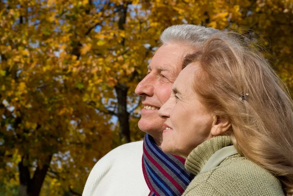 丘の上のアスペンの木老年的夫妇在秋天的森林 — 图库照片