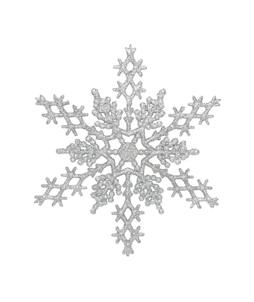 Floco de neve prateado — Fotografia de Stock