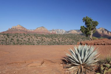 Sahne Sedona Arizona Peyzajı