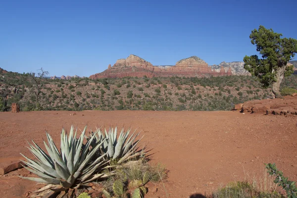 Landschaftliche Landschaft von Sedona Arizona — Stockfoto