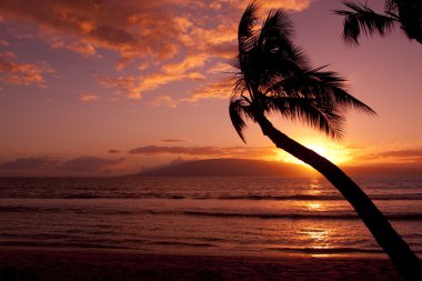 Hawaii Günbatımı