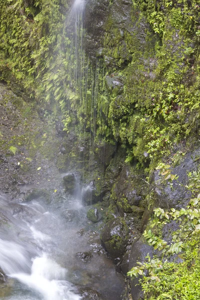 Maui Waterfall — Zdjęcie stockowe