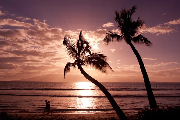 夏威夷海滩日落 — 图库照片