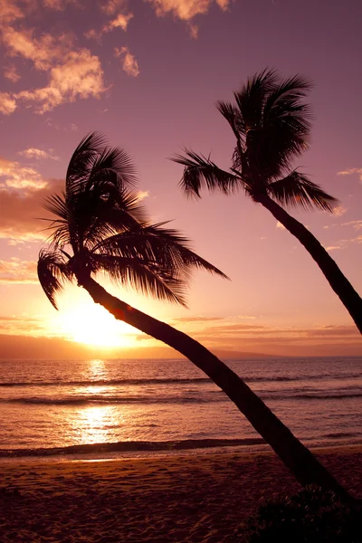 Pôr do sol havaiano — Fotografia de Stock