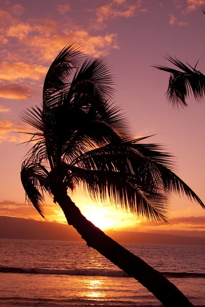 Puesta de sol hawaiana — Foto de Stock