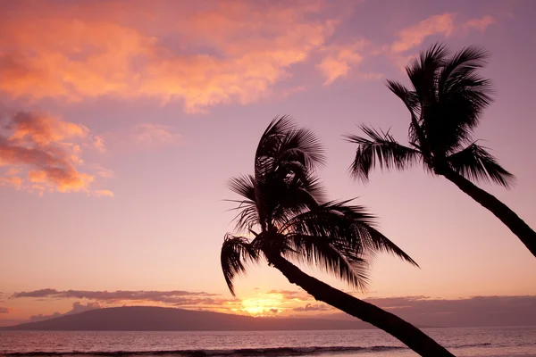Maui Sunset — Stock fotografie