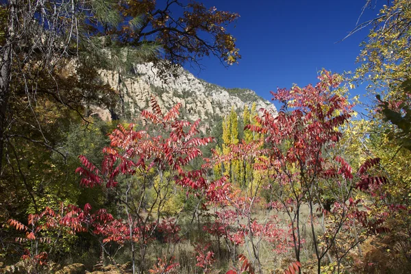 Berglandschap in herfst — Stockfoto