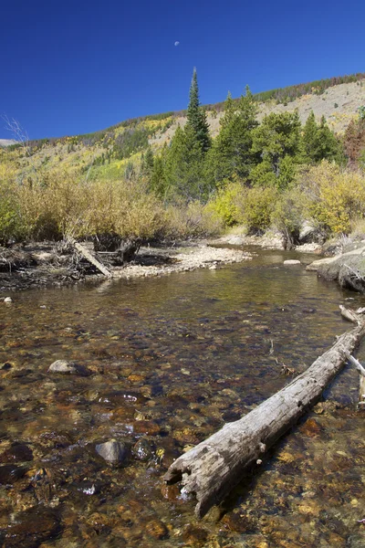 Rocky mountain stream in herfst — Stockfoto