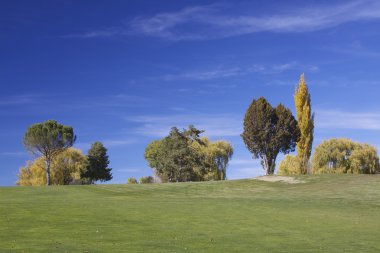 Arizona golf sahası Güz