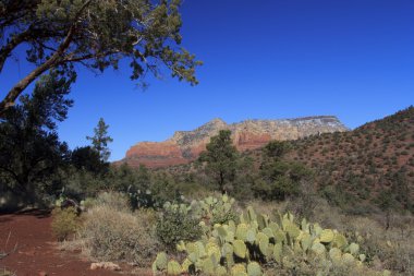 Kırmızı ülke sedona arizona rock