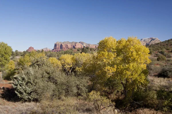 Sedona Arizona i efteråret - Stock-foto