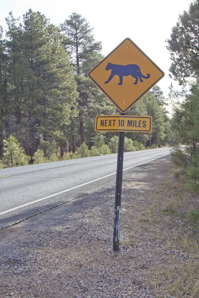 Mountain Lion Crossing Sign — Stock Photo © twildlife #7848621