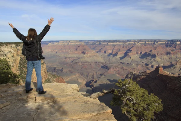 Grand Canyon National Park Wonder — Stok Foto
