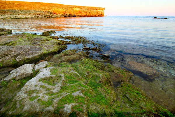 Pedras em seacoast é grande com algas verdes — Fotografia de Stock