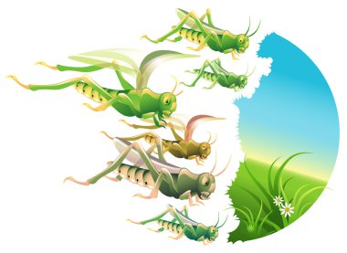 Locust Plague clipart