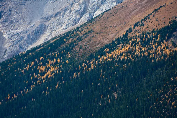 Rotsachtige berg — Stockfoto