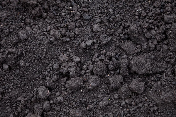 Black Soil — Stock Photo, Image