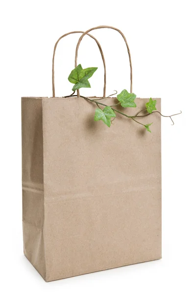 Brun papperspåse shopping och växt — Stockfoto