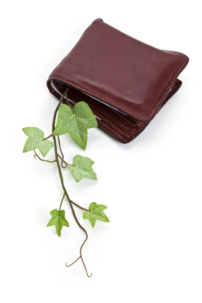 Plånbok och växt — Stockfoto