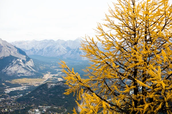 Banff — Stok fotoğraf