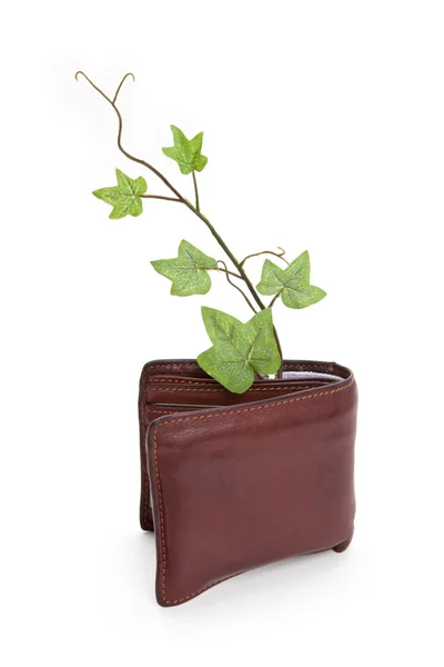 钱包和植物 — 图库照片