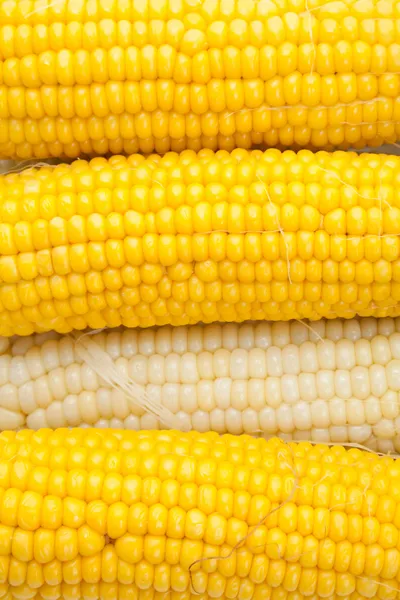 Kukurydza gotowana — Zdjęcie stockowe