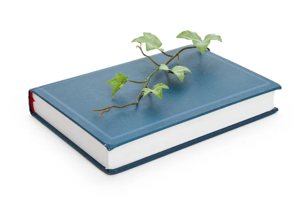 Blå boken och spira — Stockfoto