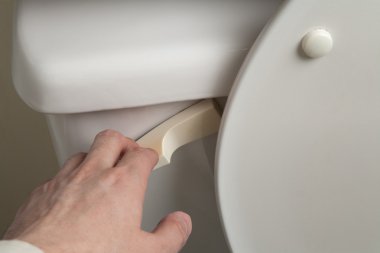 Flush Toilet clipart