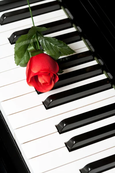 Piano chave e rosa — Fotografia de Stock