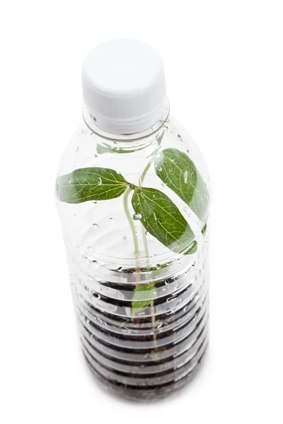 Műanyag palack és a hajtás — Stock Fotó