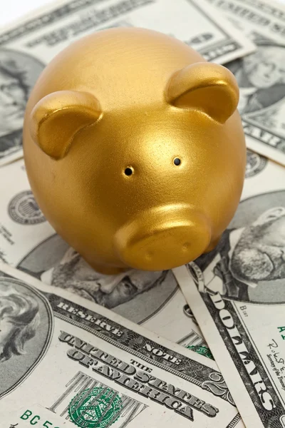 Piggy bank és a dollár — Stock Fotó