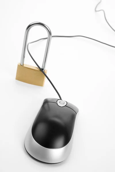 Lock and Computer Mouse — Stock Photo, Image