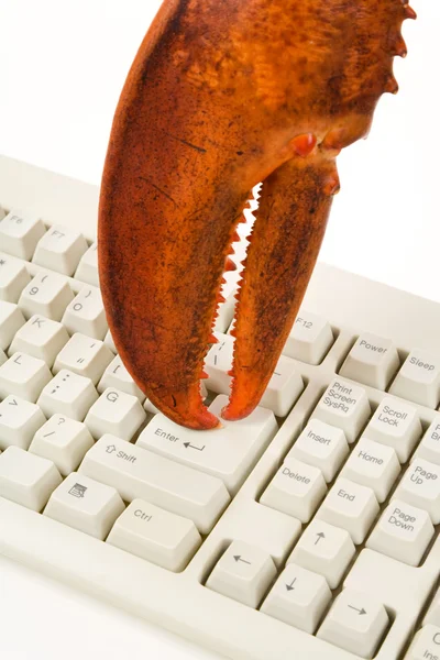 stock image Lobster Claw and Computer Keyboard