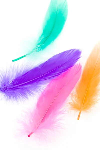Pena colorida — Fotografia de Stock