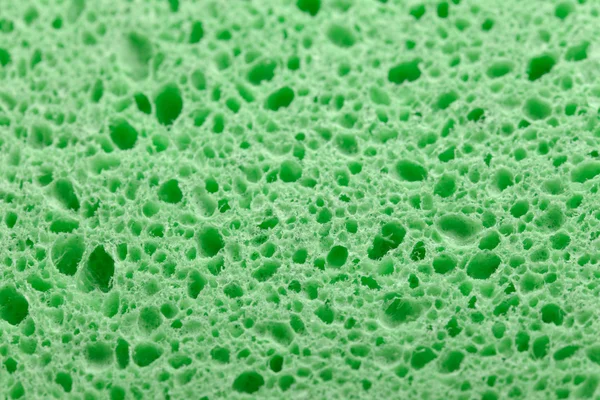 绿色海绵 — 图库照片