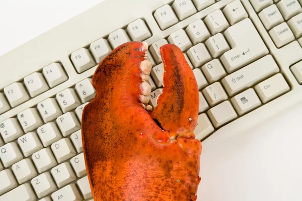 Garra de lagosta e teclado de computador — Fotografia de Stock