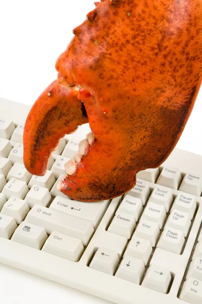 Garra de langosta y teclado de ordenador Imagen de archivo