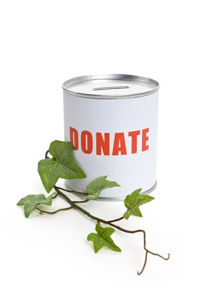 Scatola di donazione e pianta verde — Foto Stock