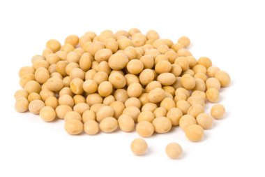 Soybean clipart