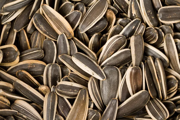 Slunečnicová semena — Stock fotografie